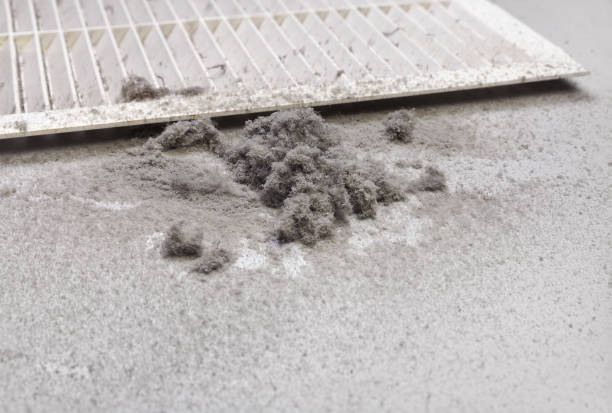Best Home Air Vent Cleaning  in Southfield, MI