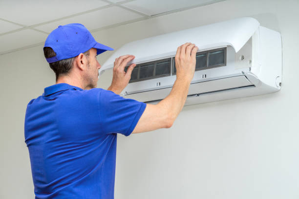 Air Duct Mold Removal in MI